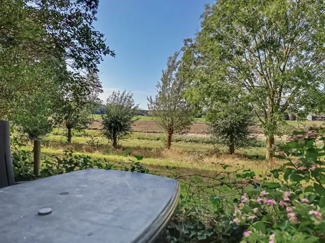 Foto van Molensteeg 17A