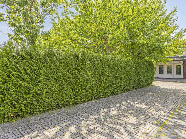 Foto van Grotestraat 221