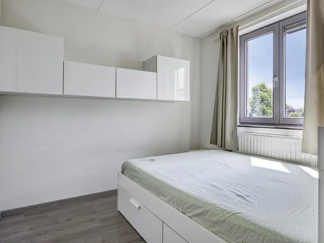 Foto van Mol 4
