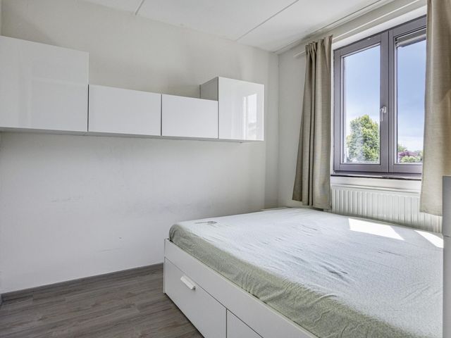 Foto van Mol 4