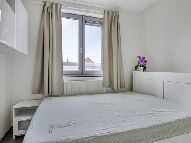 Foto van Mol 4