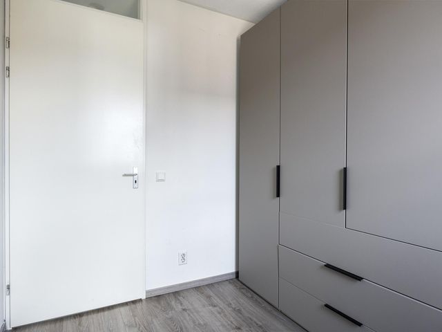 Foto van Mol 4