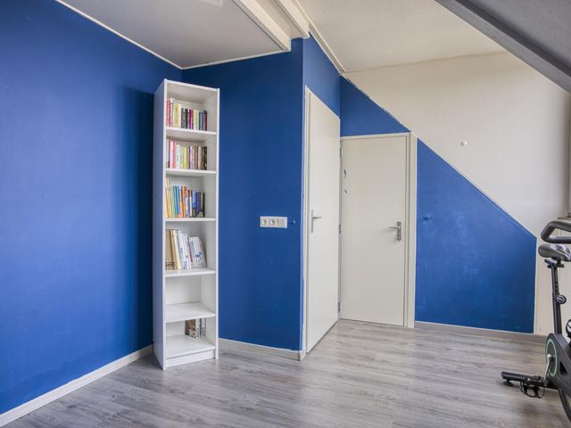 Foto van Mol 4