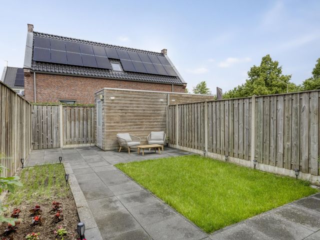 Foto van Mol 4