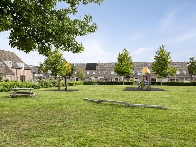 Foto van Mol 4
