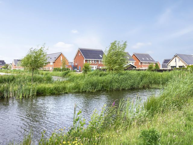 Foto van Mol 4