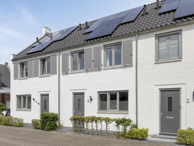Foto van Mol 4