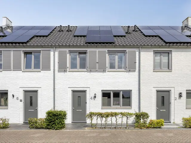 Foto van Mol 4