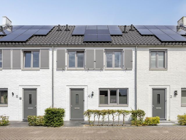 Foto van Mol 4