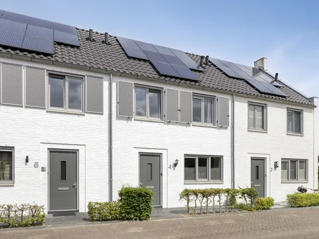Foto van Mol 4