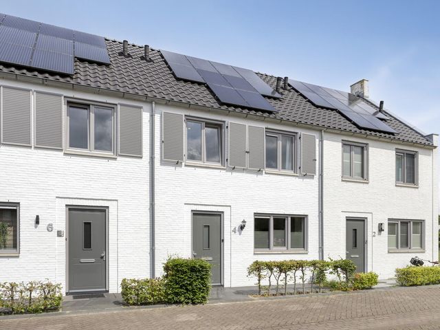 Foto van Mol 4