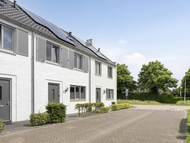Foto van Mol 4