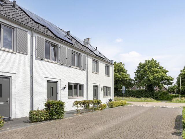 Foto van Mol 4