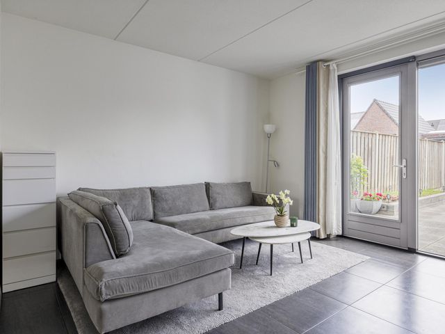Foto van Mol 4
