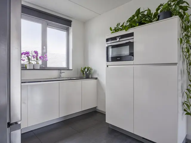Foto van Mol 4