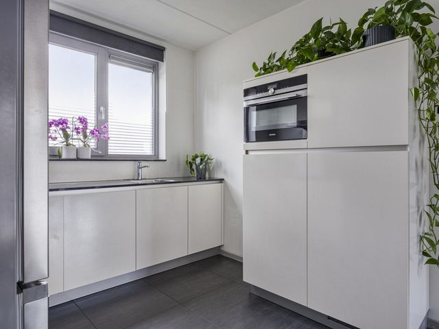 Foto van Mol 4