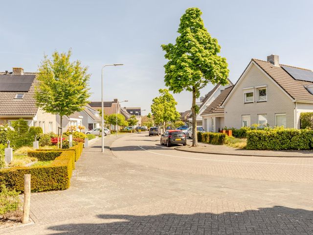 Foto van Marijnenlaan 11