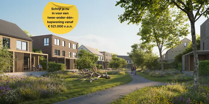 Ridderspoor