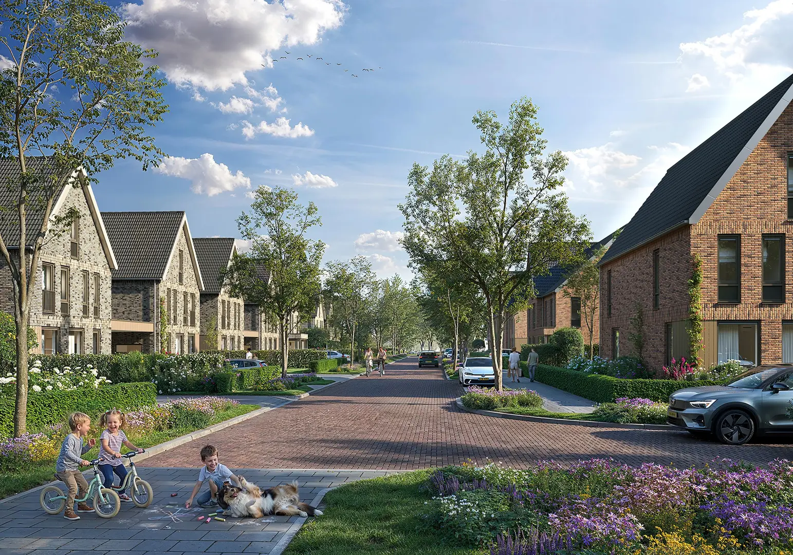 VronerEiland - Binnenkort in verkoop in Sint Pancras