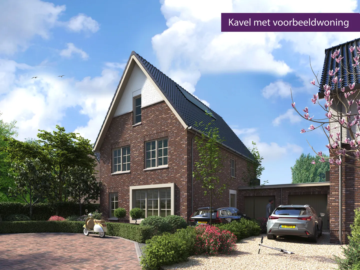 Anemoonhoek in Winkel