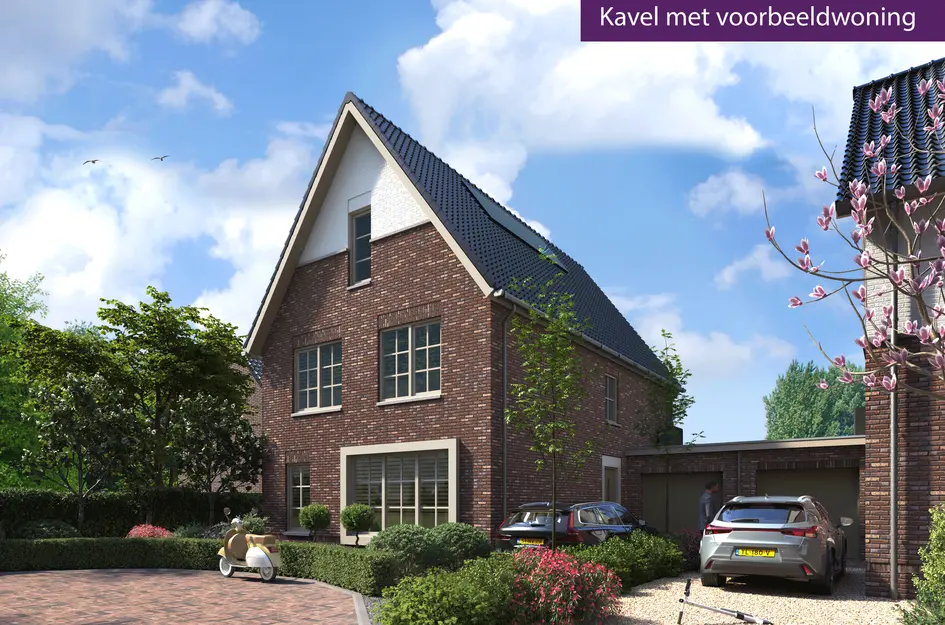 Anemoonhoek  in Winkel