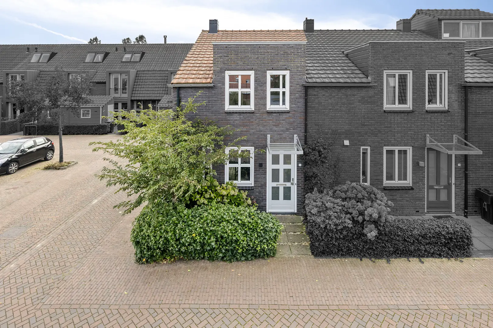 Vangstok 6 in Sint Pancras