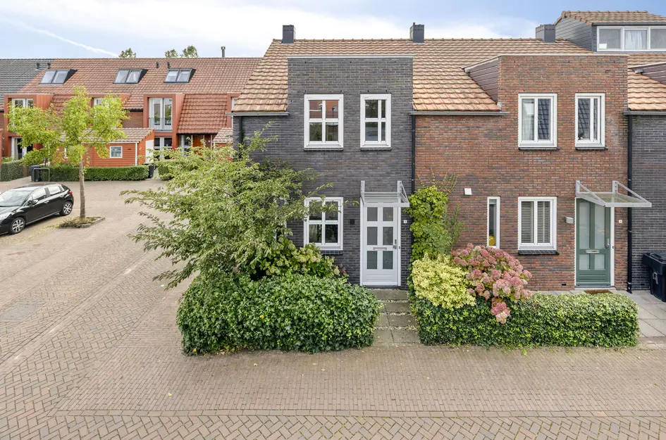 Vangstok 6 in Sint Pancras