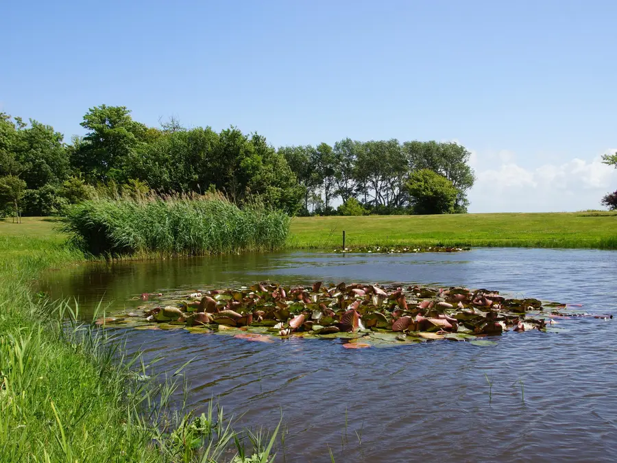Veldzigt 60, foto 42