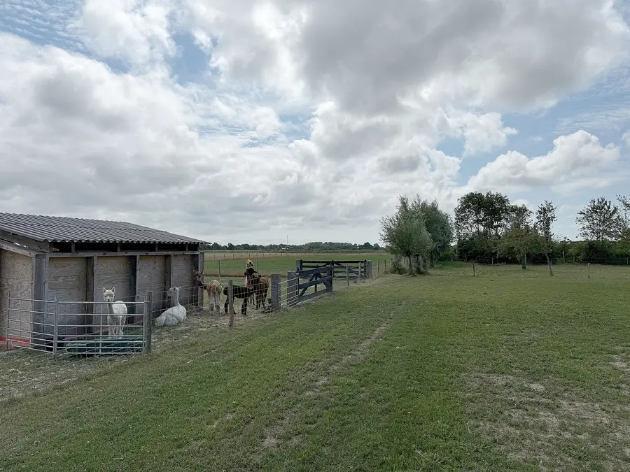 Noordweg 62, foto 81