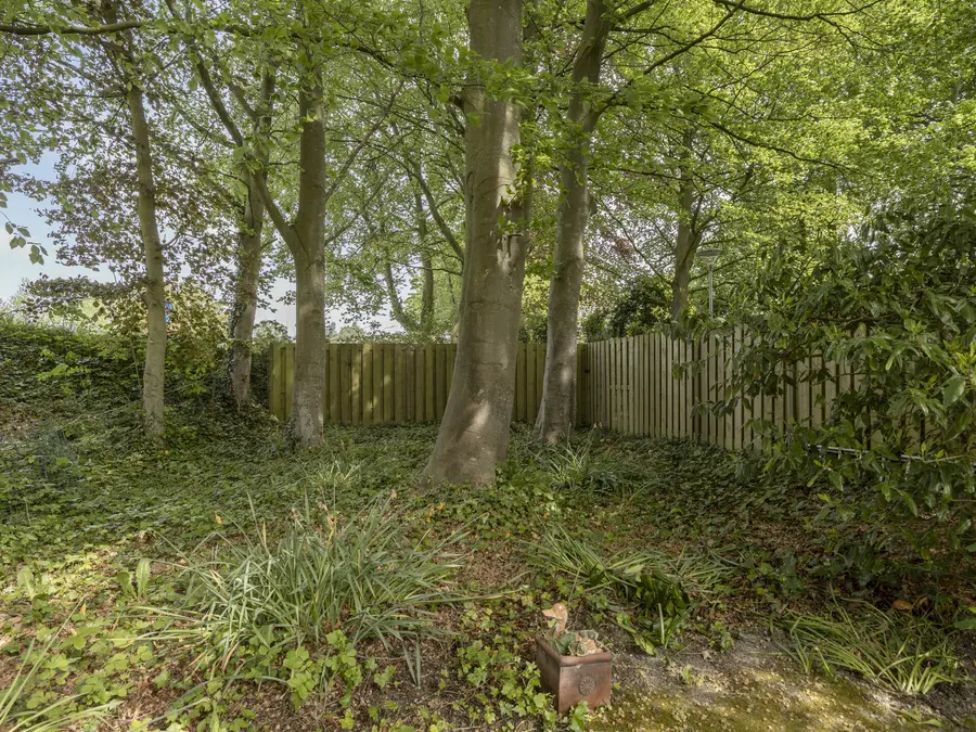 Van Kleffenslaan 46, foto 44
