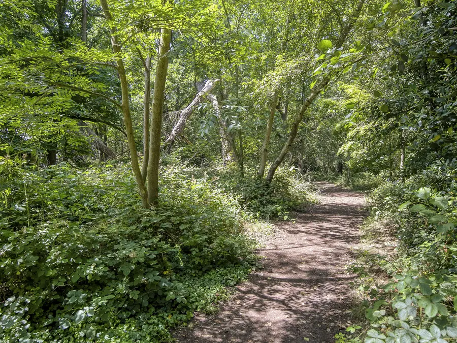 Eikenlaan 56R, foto 46