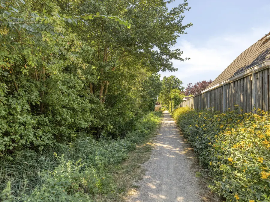 Groene Specht 19, foto 43