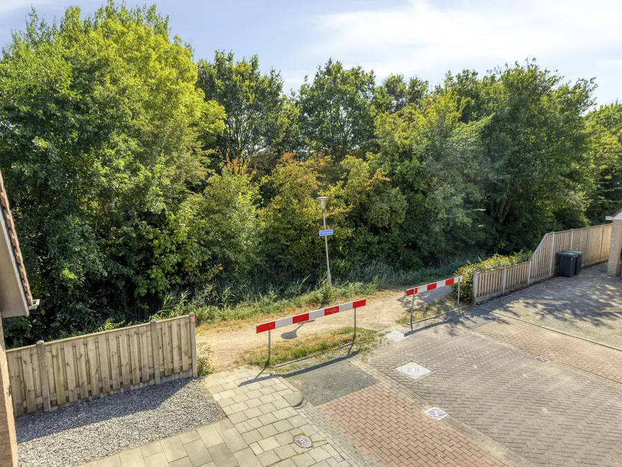 Groene Specht 19, foto 42