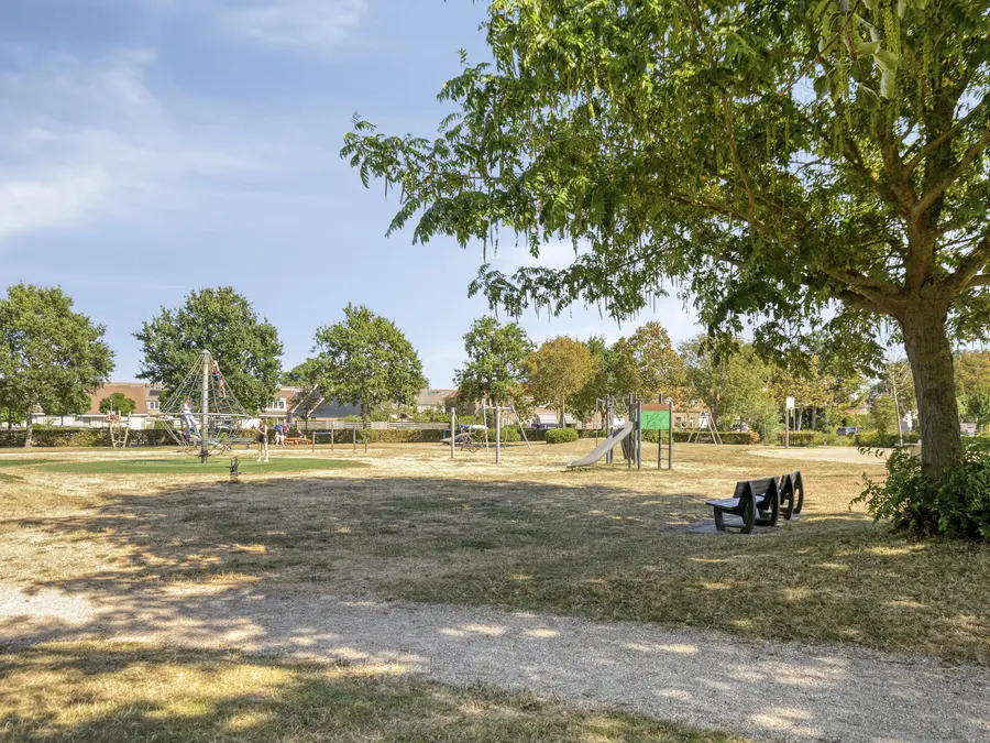 Groene Specht 19, foto 44