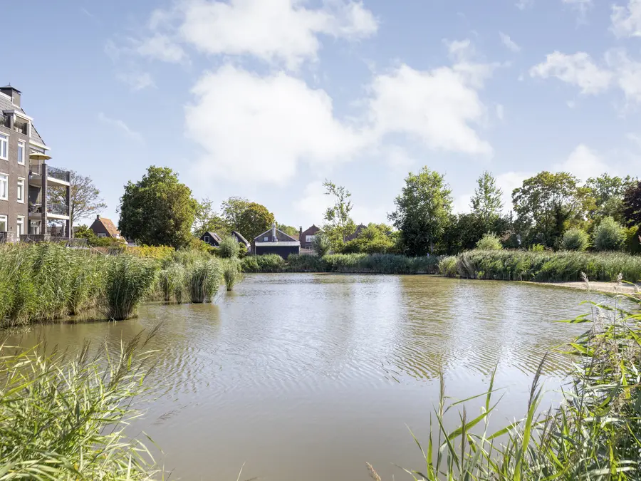Groene Specht 19, foto 46