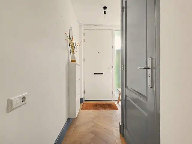 Foto van IJsvogel 48