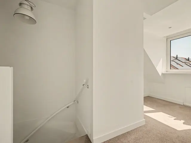Foto van IJsvogel 48