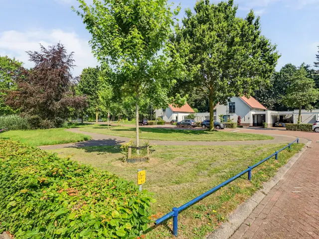 Foto van IJsvogel 48