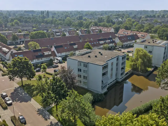 Foto van IJsvogel 48