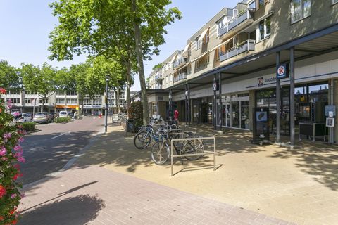 Moleneindplein 155