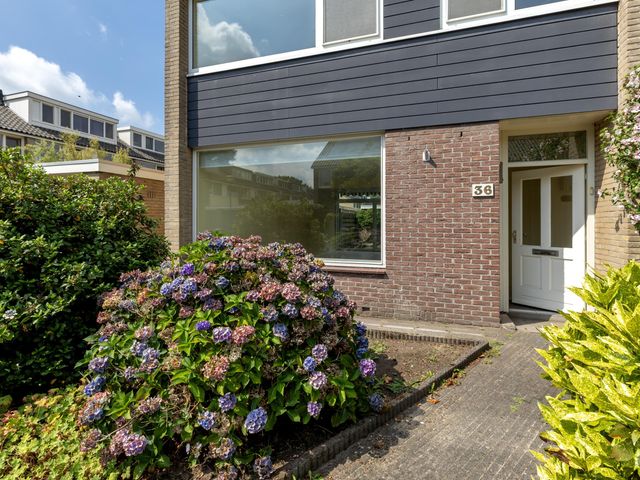 Foto van Ockeghemstraat 36