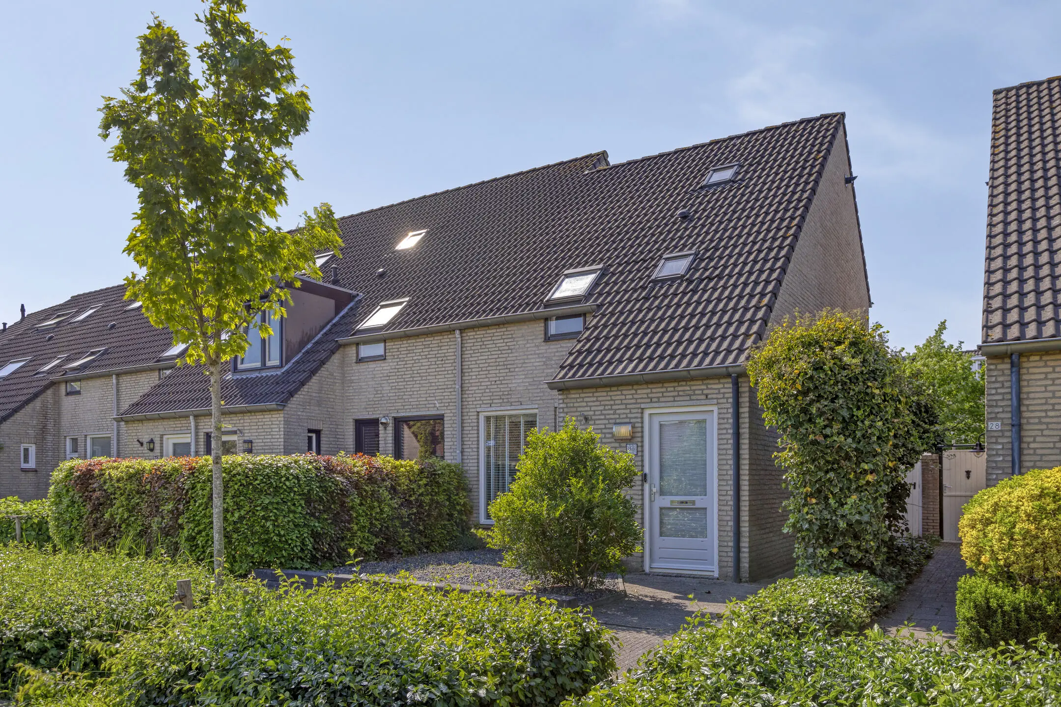 Dovenetelstraat 30