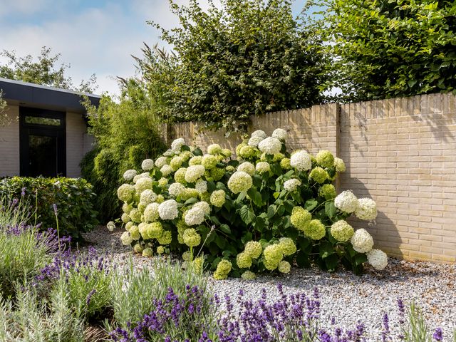 Foto van Adriaan Poortersstraat 19
