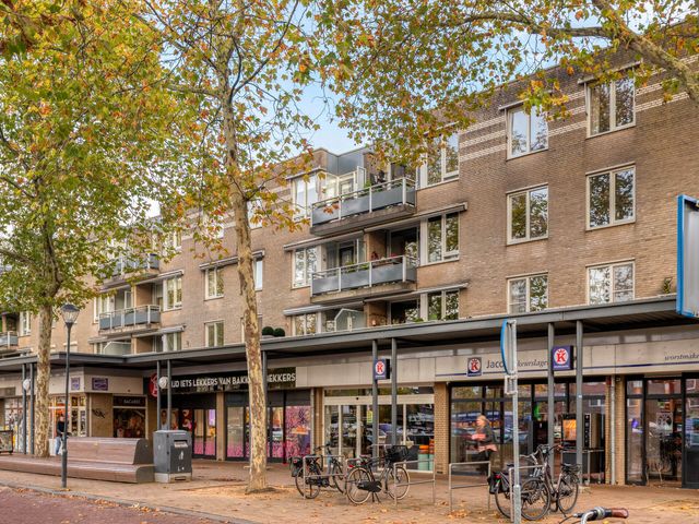 Foto van Moleneindplein 306