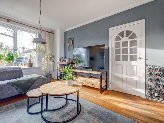 Foto van Repelweg 28