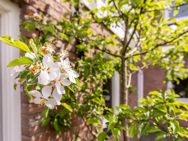 Foto van Lopensehoeve 20