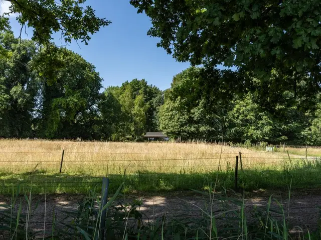 Foto van Broeksteeg 48