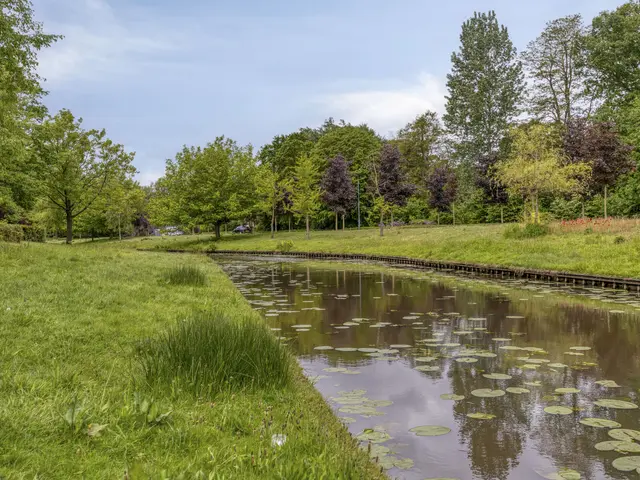 Foto van Willaertsingel 3