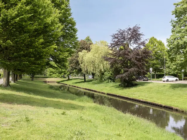 Foto van Willaertsingel 3