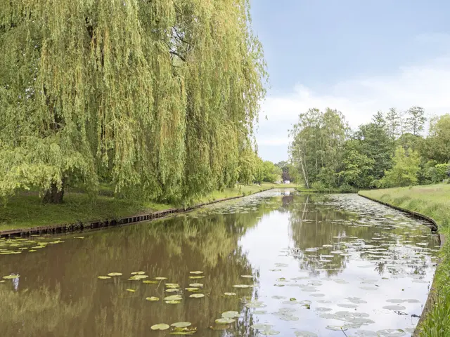 Foto van Willaertsingel 3